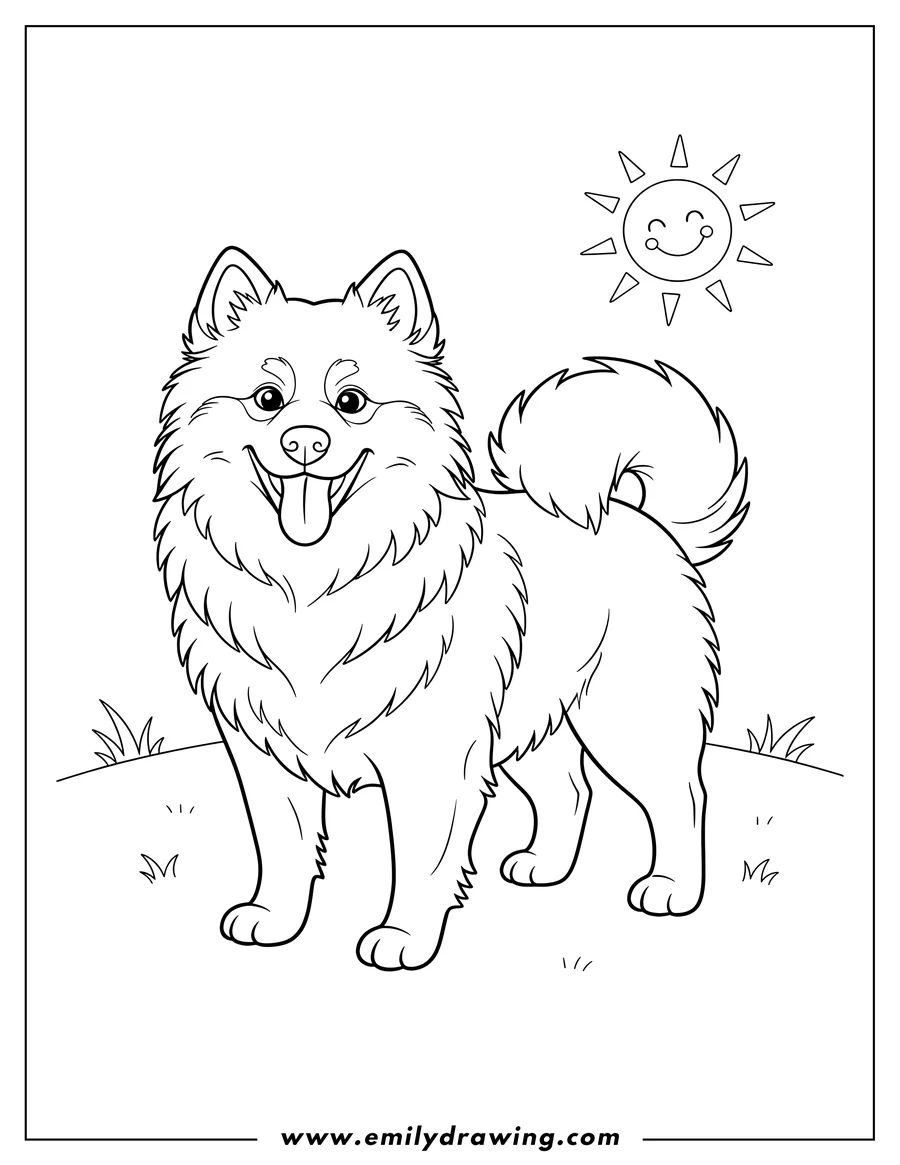 Free printable coloring sheet of american Eskimo Dog To Color Preschoolers, standing, fluffy, smiling with tongue out