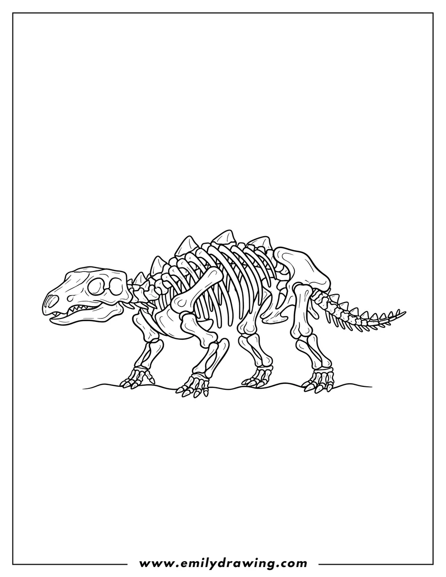 Linear illustration of simple Ankylosaurus Skeleton, standing, side view