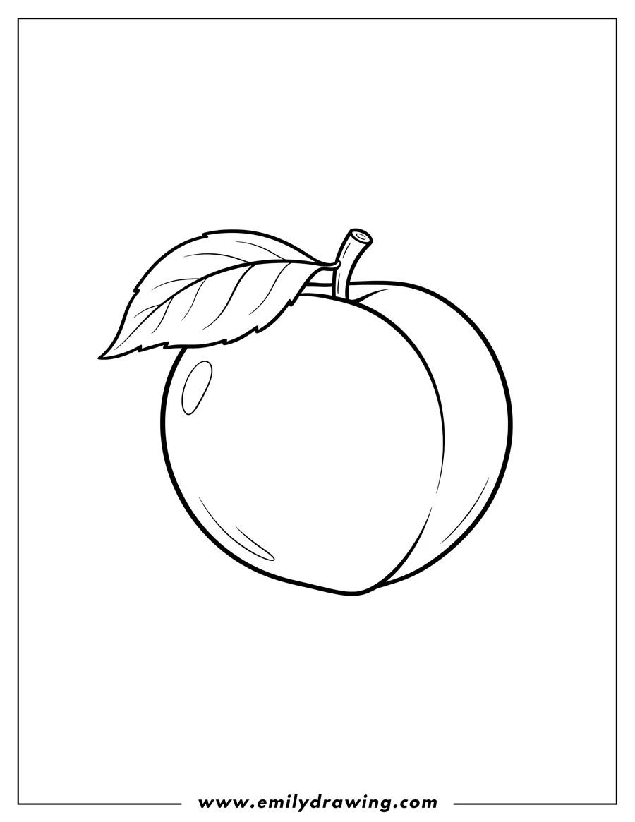 Clean line drawing: A peach with a leaf