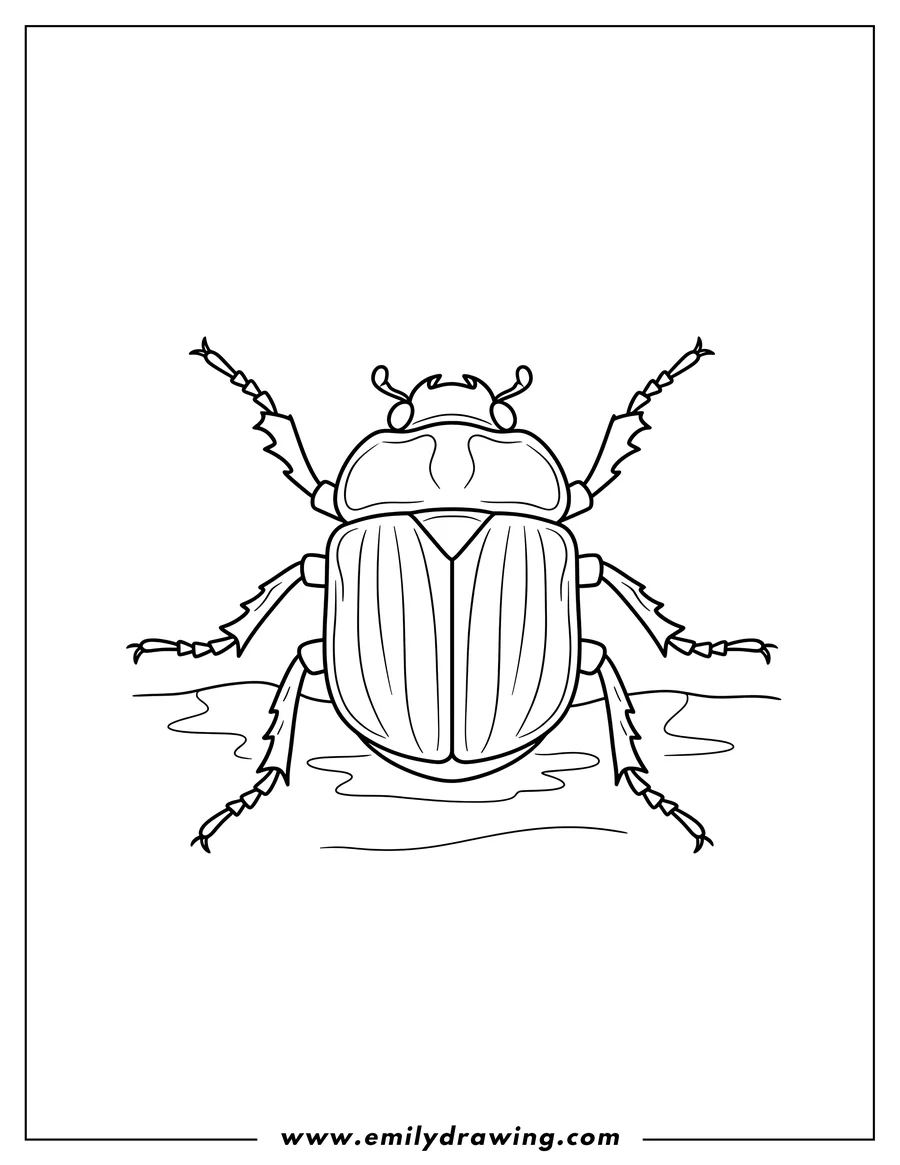 Doodle style coloring picture of green Scarab Beetle on the ground with its legs spread out