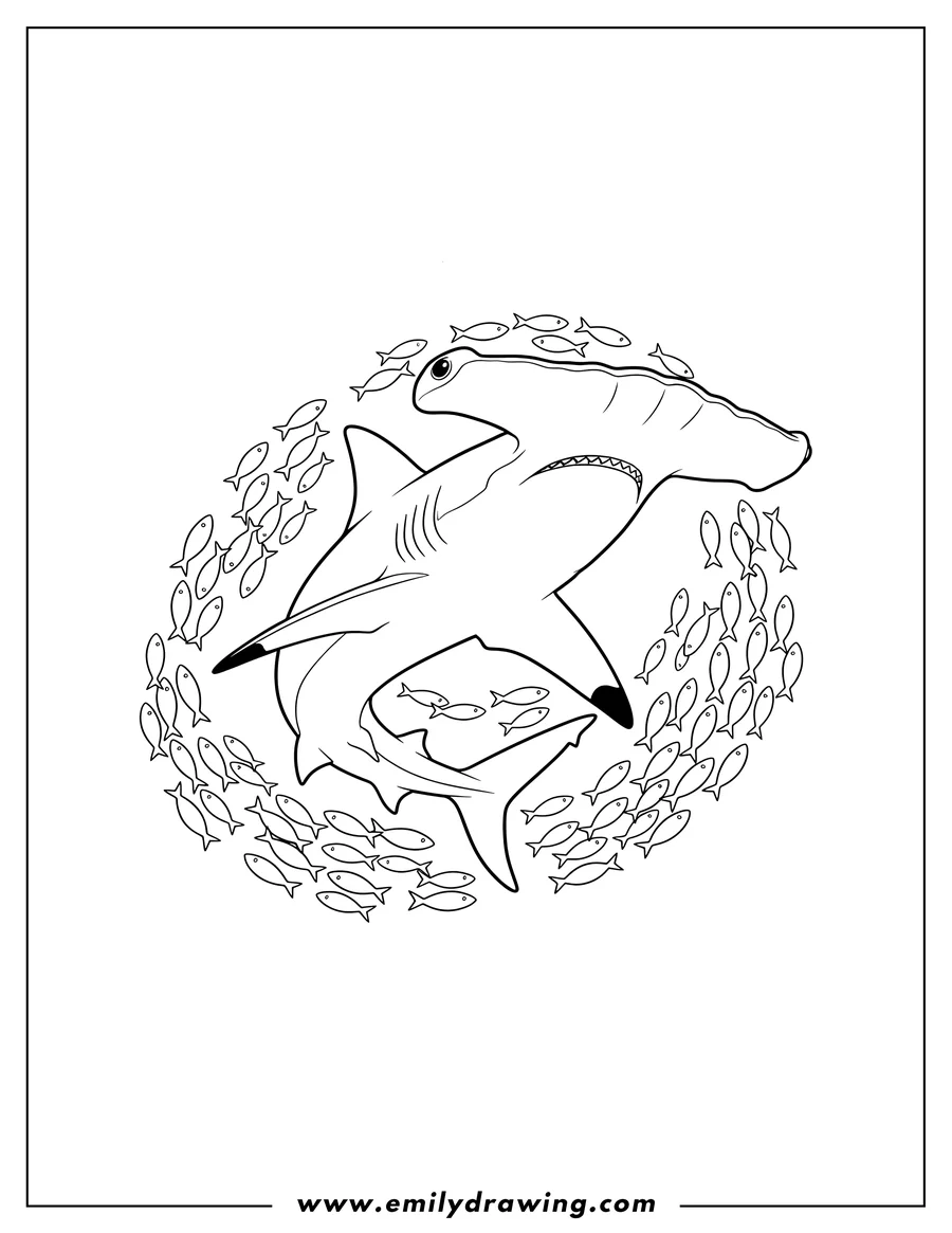 Outline drawing of large Hammerhead Shark swimming with schools of small fish