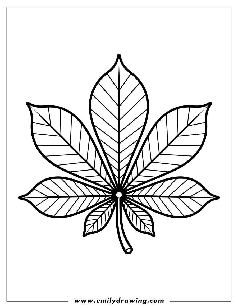Clean line drawing: horse Chestnut Leaf