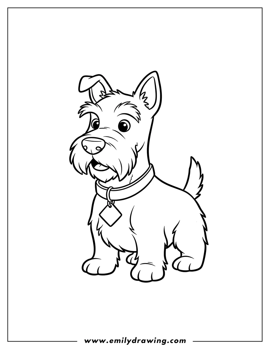 Coloring page of simple Jock Outline, a Scottish Terrier wearing a collar with a diamond tag