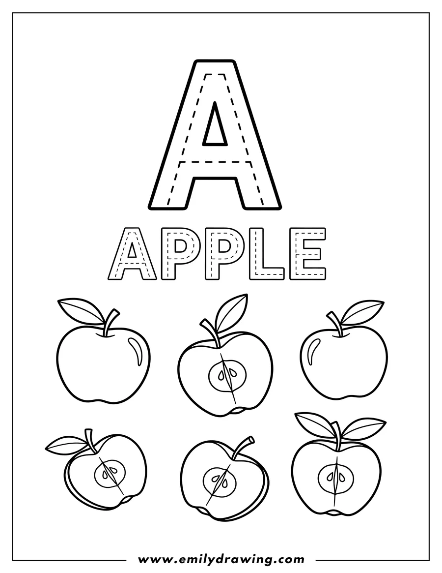 Linear illustration of coloring and tracing worksheet for kids, featuring the letter A, the word APPLE, and several apples