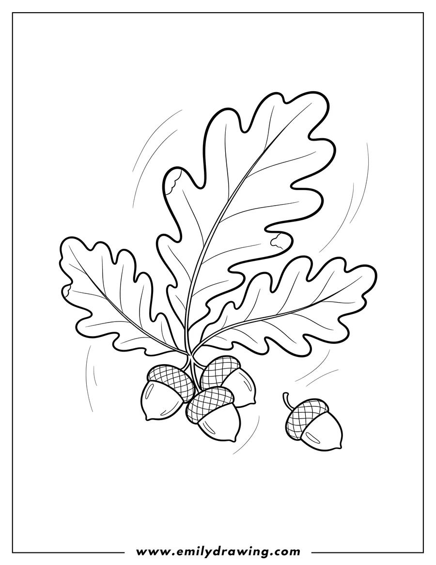 Linear illustration of simple Oak Fall Leaves and Acorns To Color