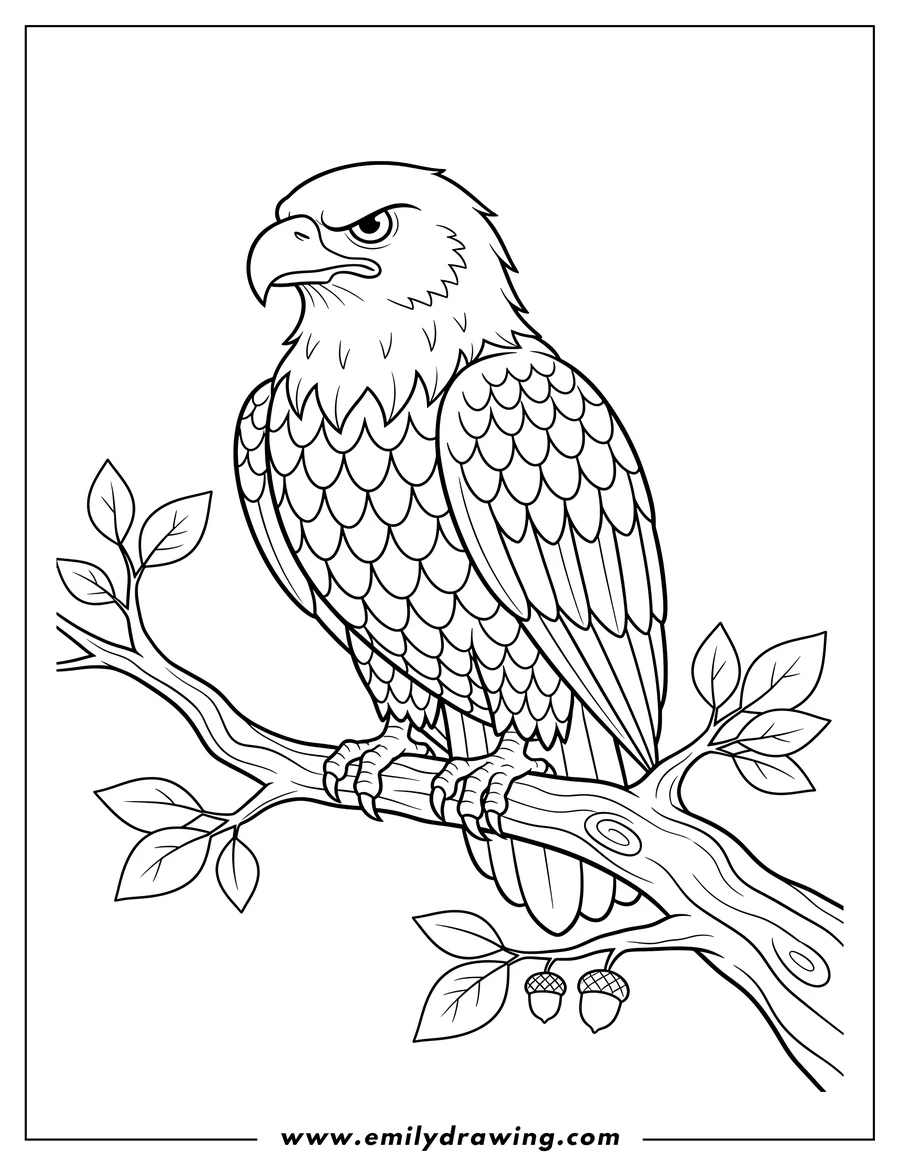 Printable line art of outline Bald Eagle Scaled, perched on a branch with a stern expression