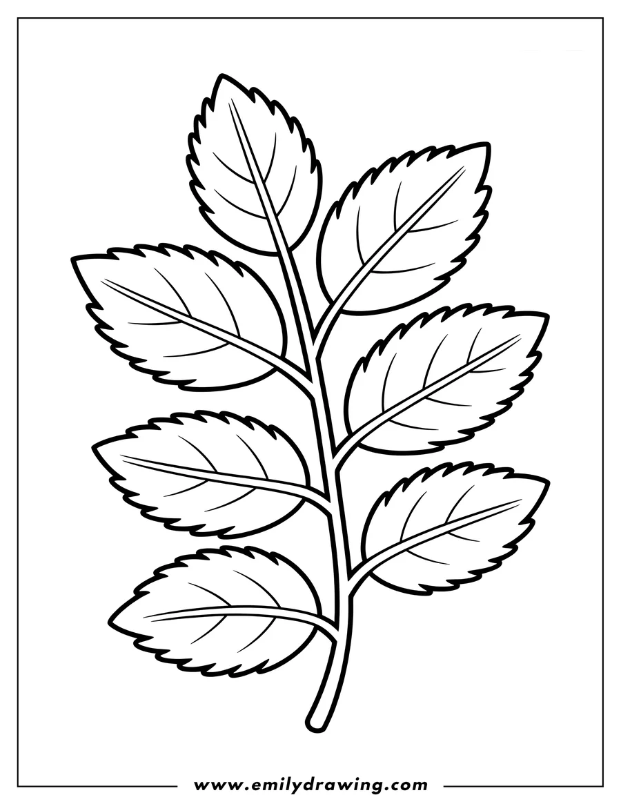 Full page coloring image of plant Sprig