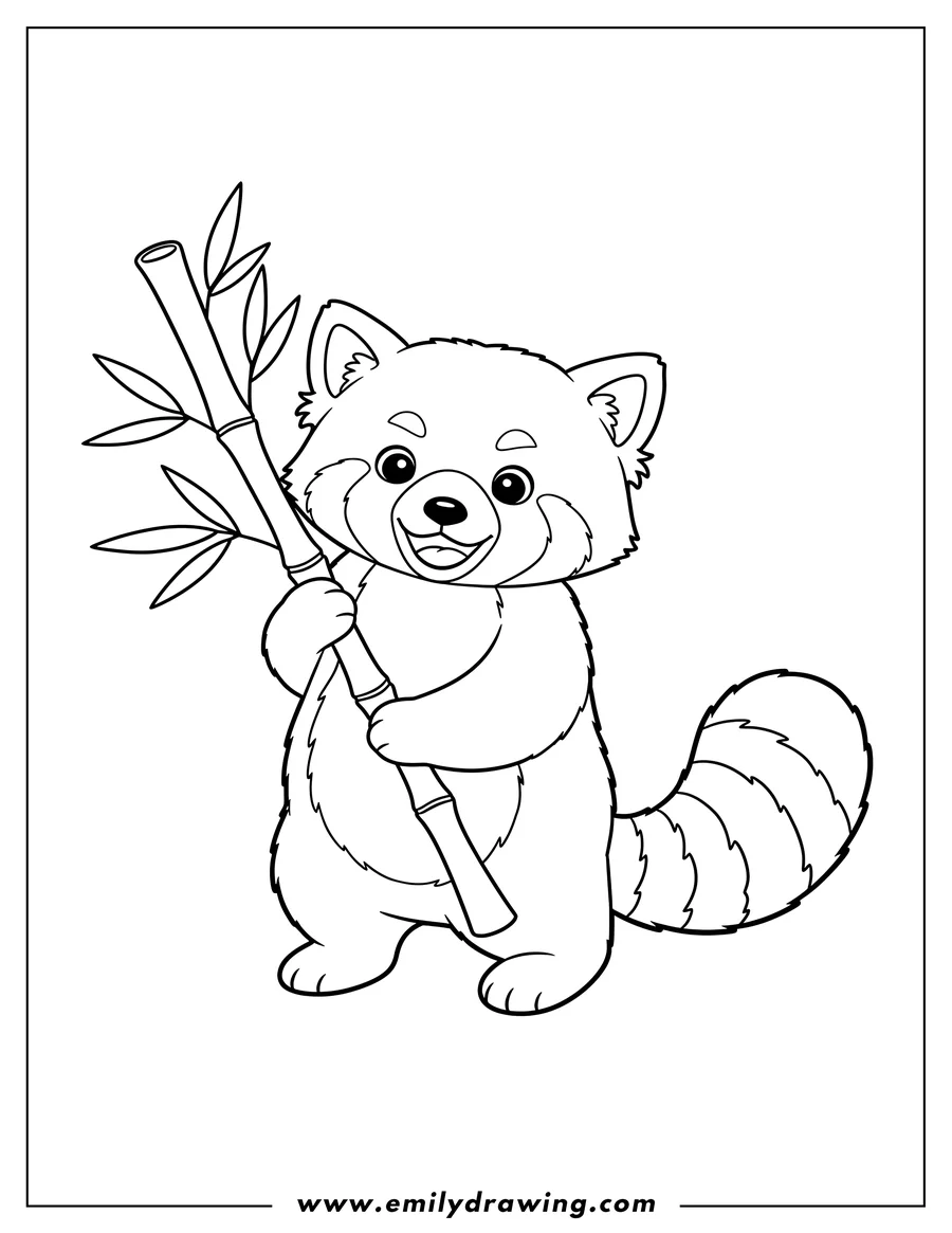 Linear illustration of simple Smiling Red Panda Standing Holding Bamboo with a Striped Tail Preschoolers