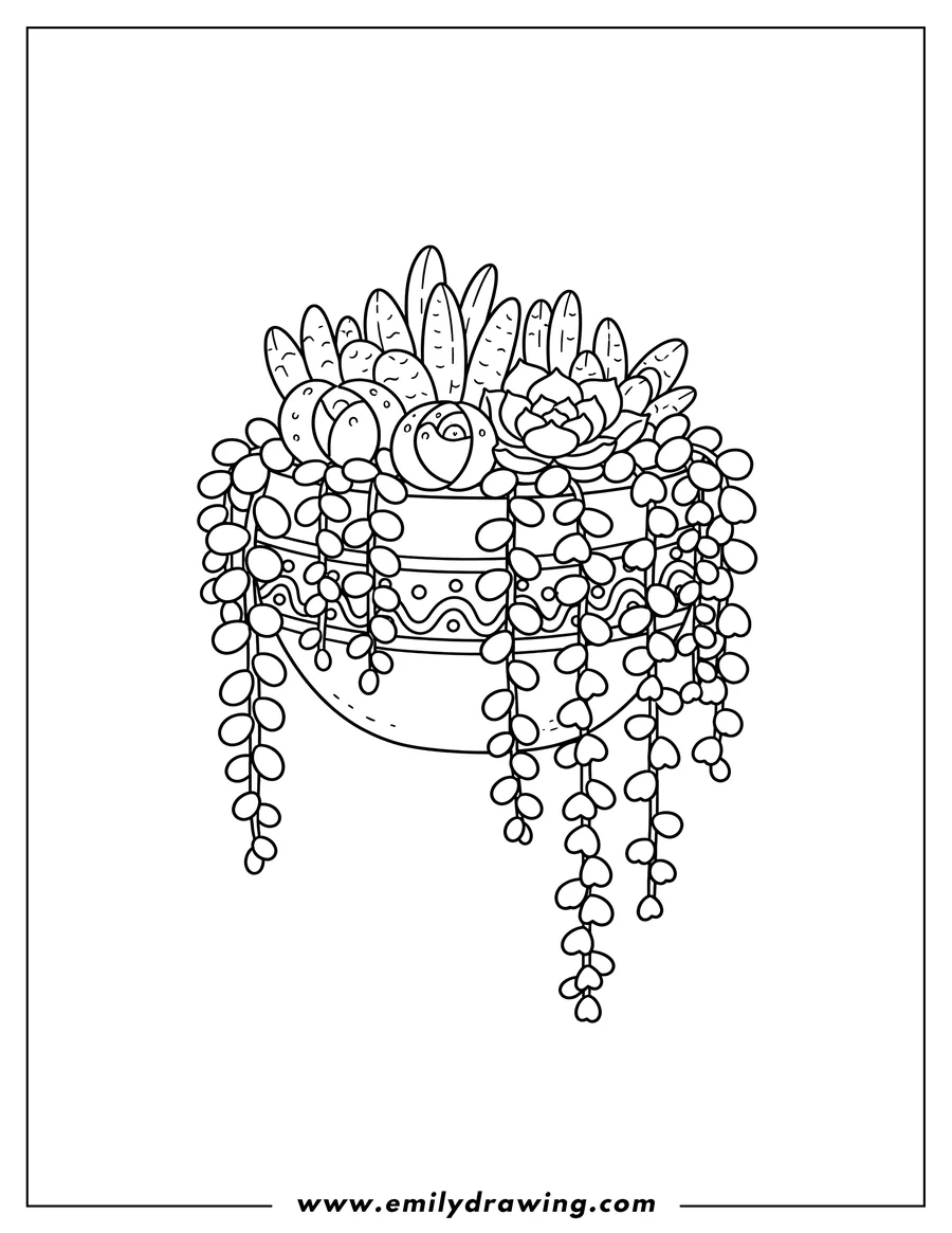 Outline drawing of simple Succulents, multiple varieties, trailing in a Round Flower Pot
