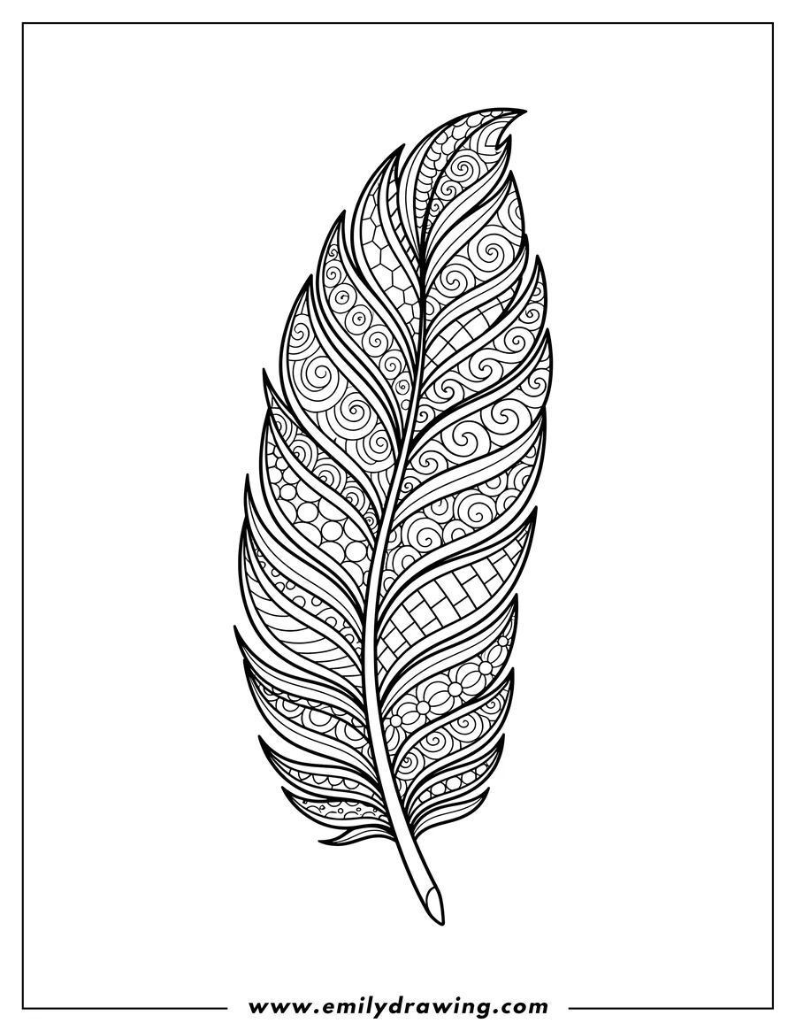 Clean line drawing: single intricate Zentangle feather coloring page