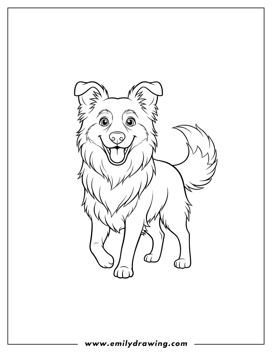 PDF style coloring page: smiling Border Collie outline