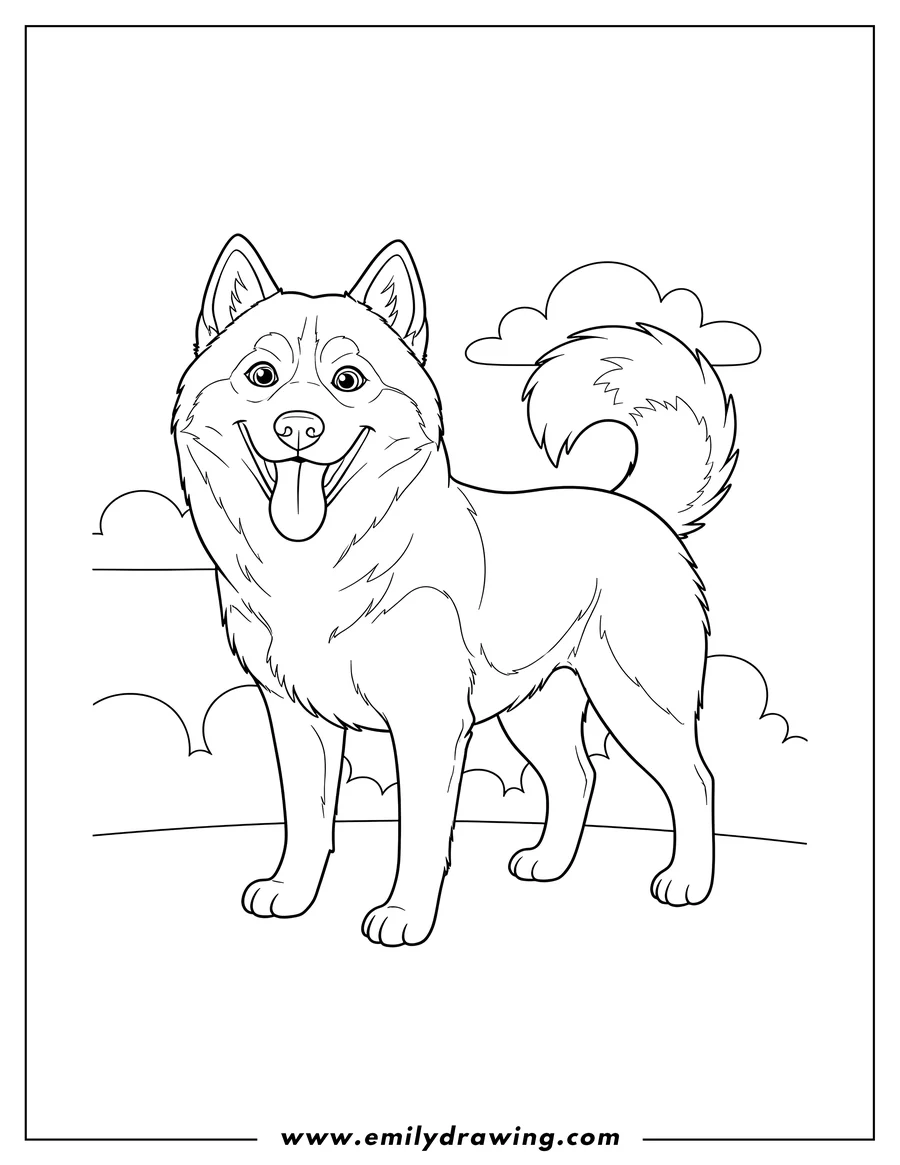 PDF style coloring page: smiling Husky Standing with Tongue Out and Curled Tail
