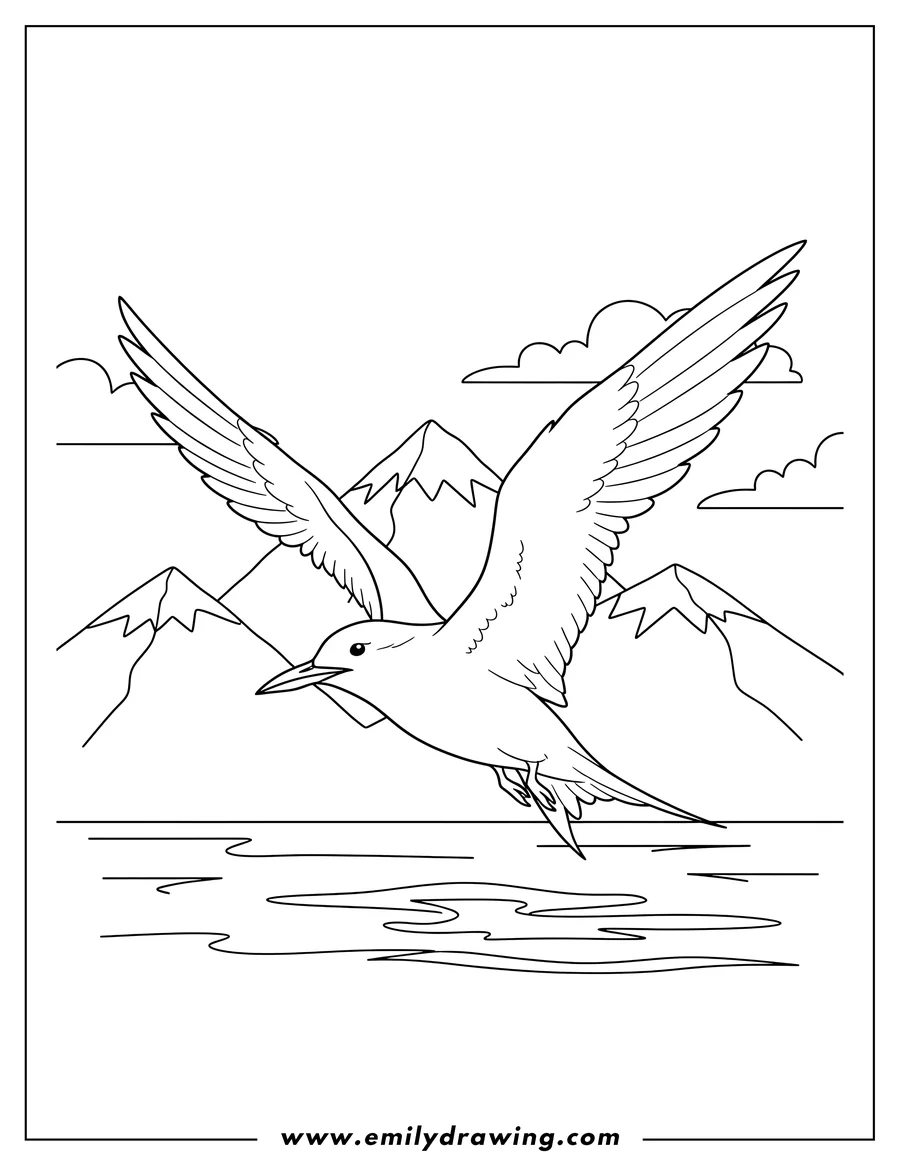 Coloring page of soaring Arctic Tern with spread wings swooping over water, mountain landscape