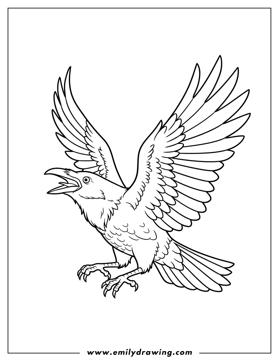 Simple sketch of raven to color