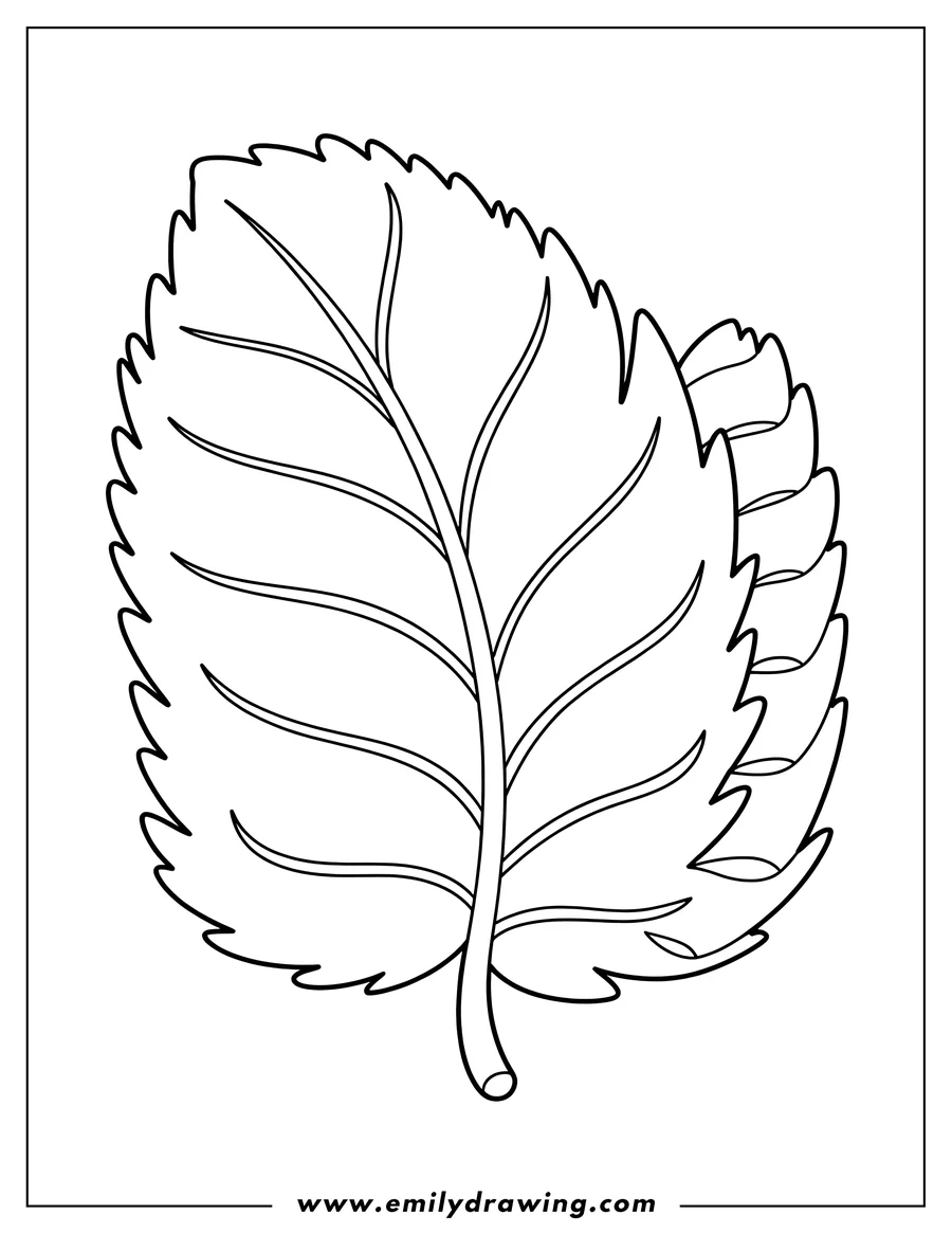 Clean line drawing: leaf