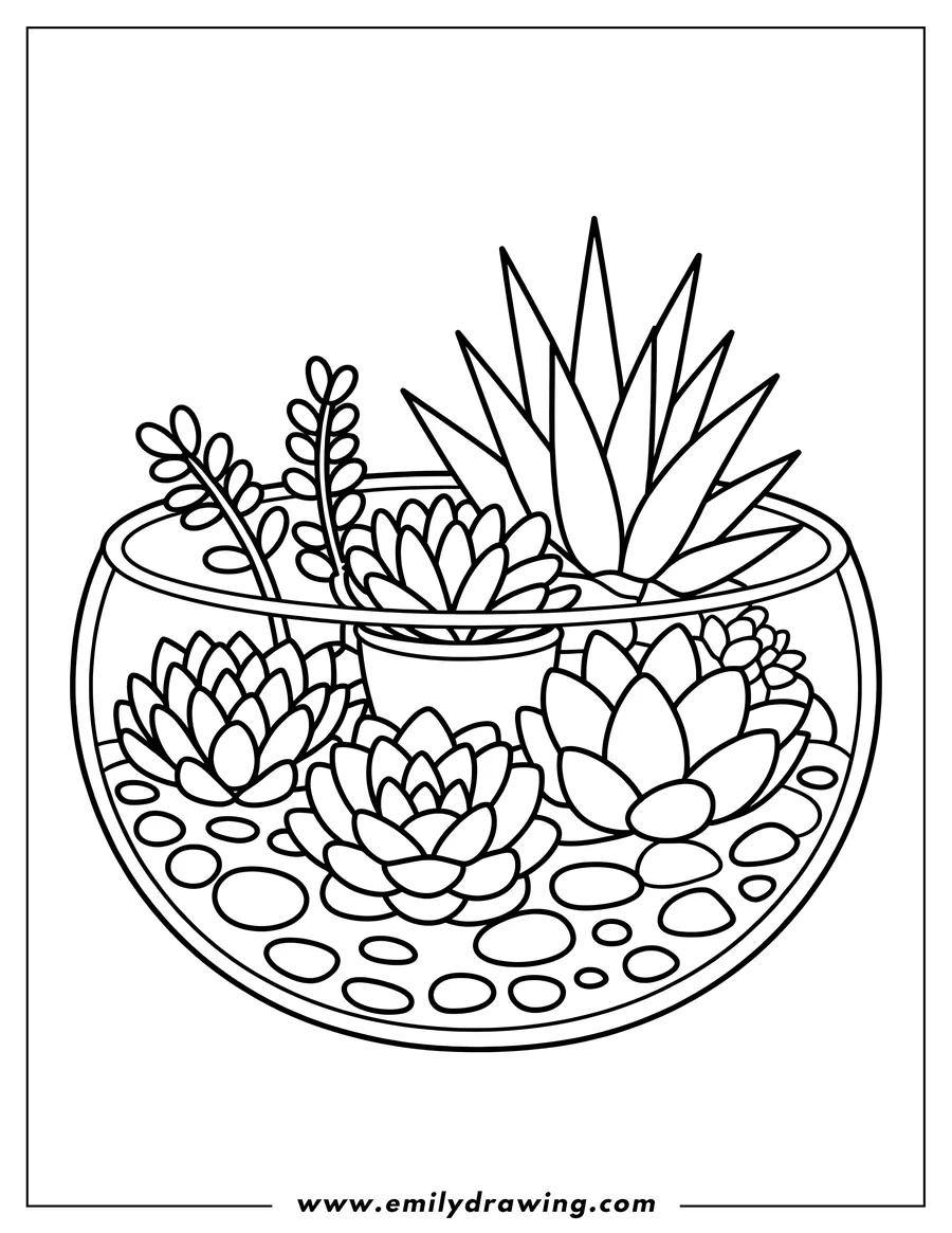 Line art of various succulents and small plants arranged inside a round glass bowl terrarium with pebbles at the bottom.