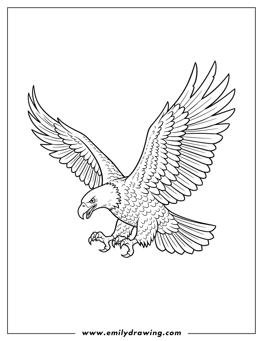 Coloring page of swooping Bald Eagle With Spread Wings, talons extended and open, head angled downwards, To Color Scaled