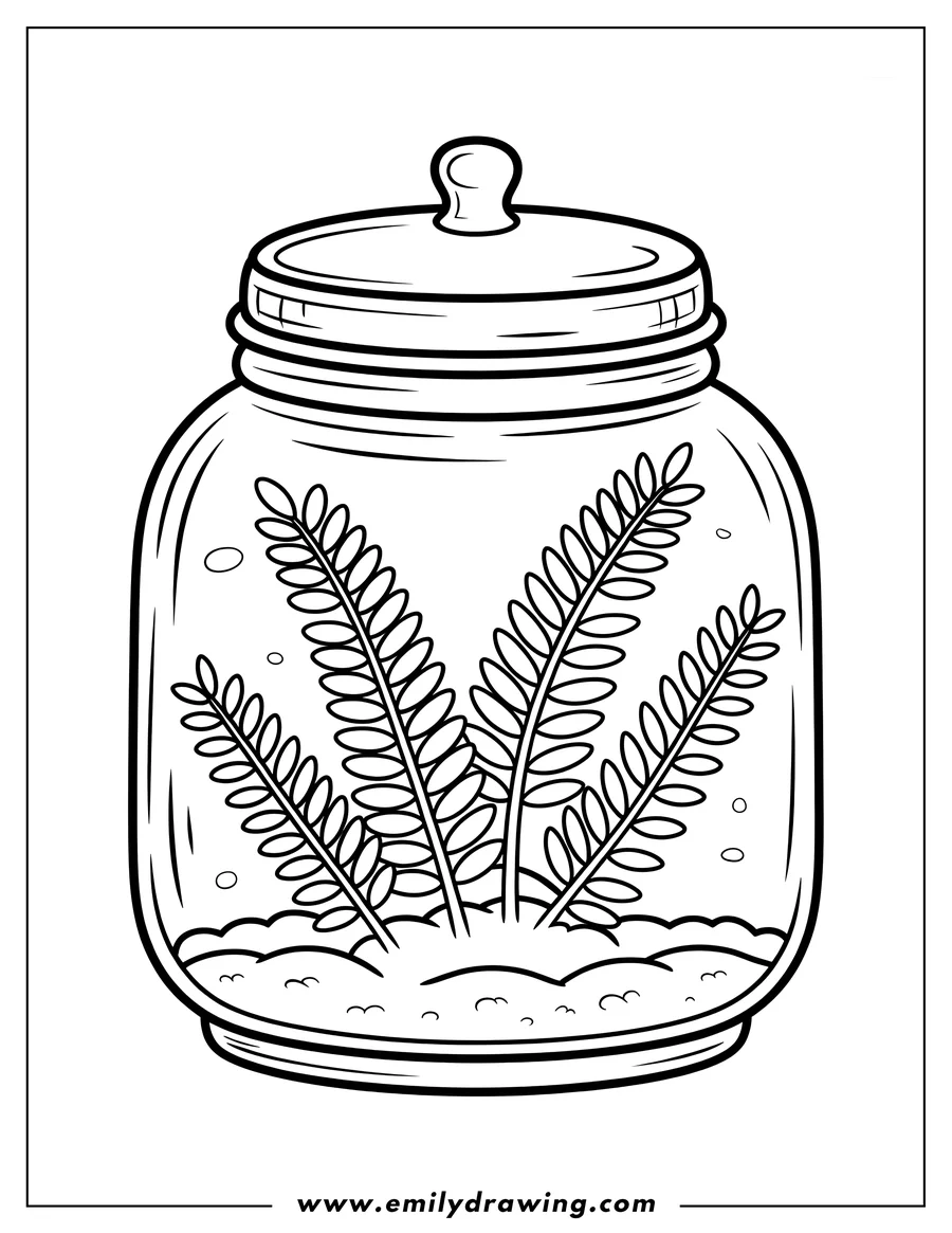 Line art of a terrarium with several ferns growing inside, depicted with soil and small decorative circles, all within a lidded glass jar.