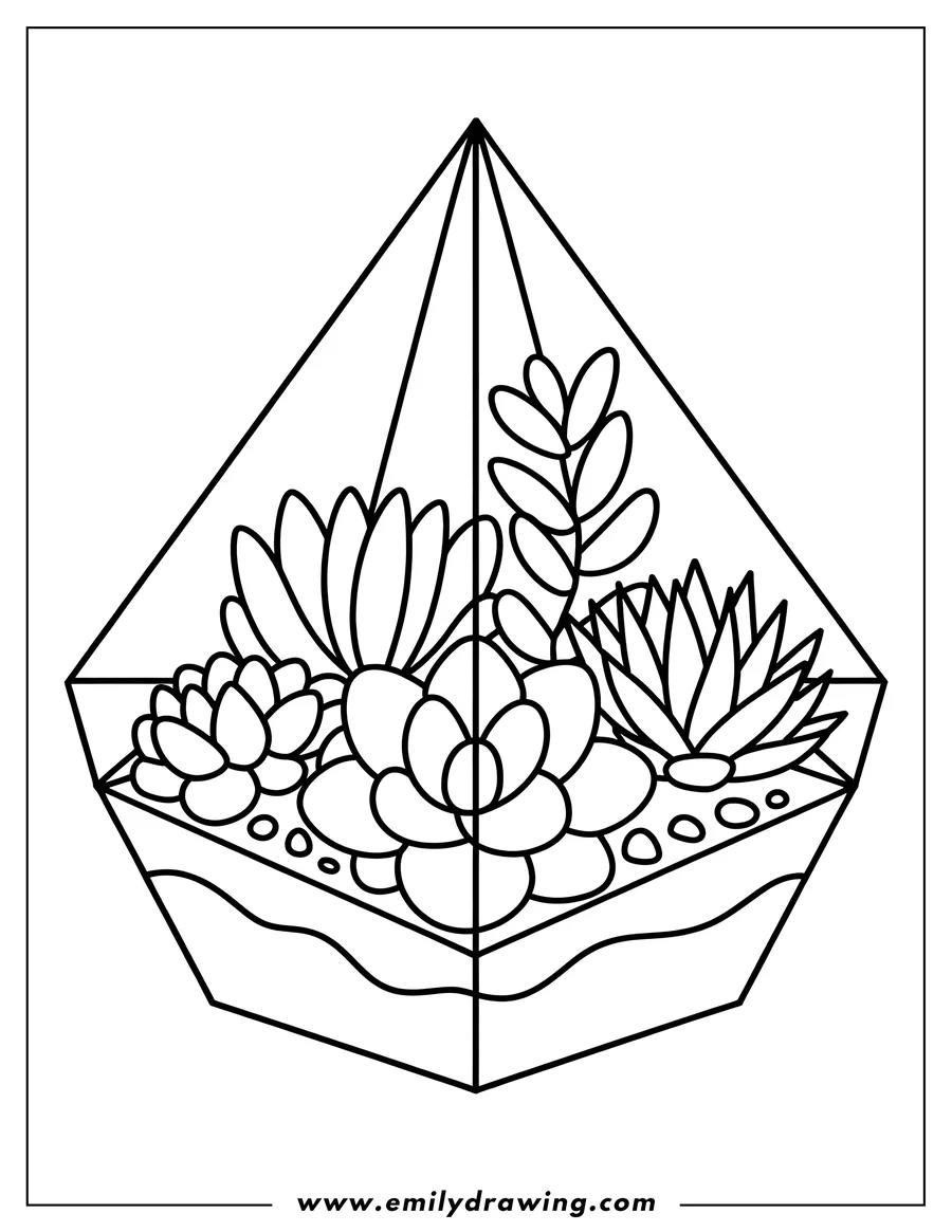 Line art of a geometric terrarium filled with various succulents and small pebbles on a layered base.
