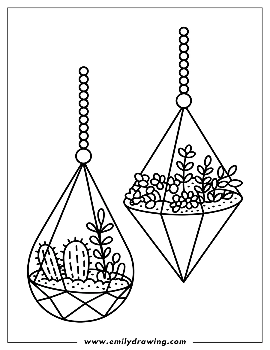 Line art of two hanging terrariums, one teardrop-shaped with cacti and another diamond-shaped with small flowering plants and succulents.