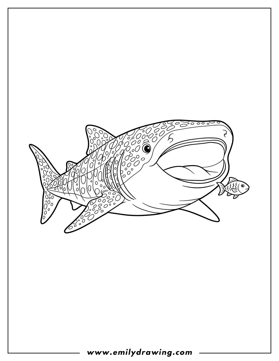 Full page coloring image of textured Whale Shark with open mouth and a small fish swimming nearby