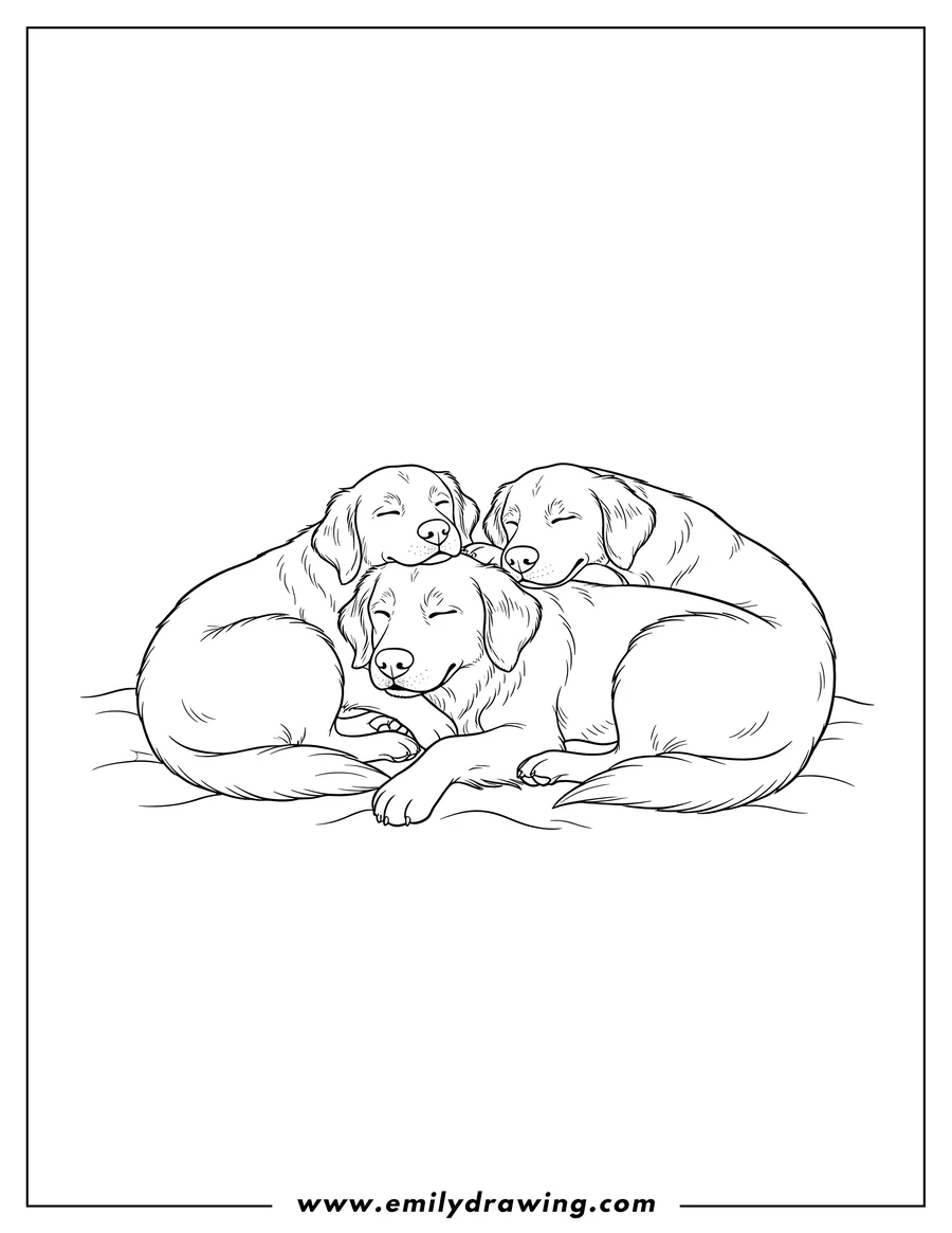 Coloring page for kids: three Sleepy Golden Retrievers, snuggling together, with one dog fast asleep