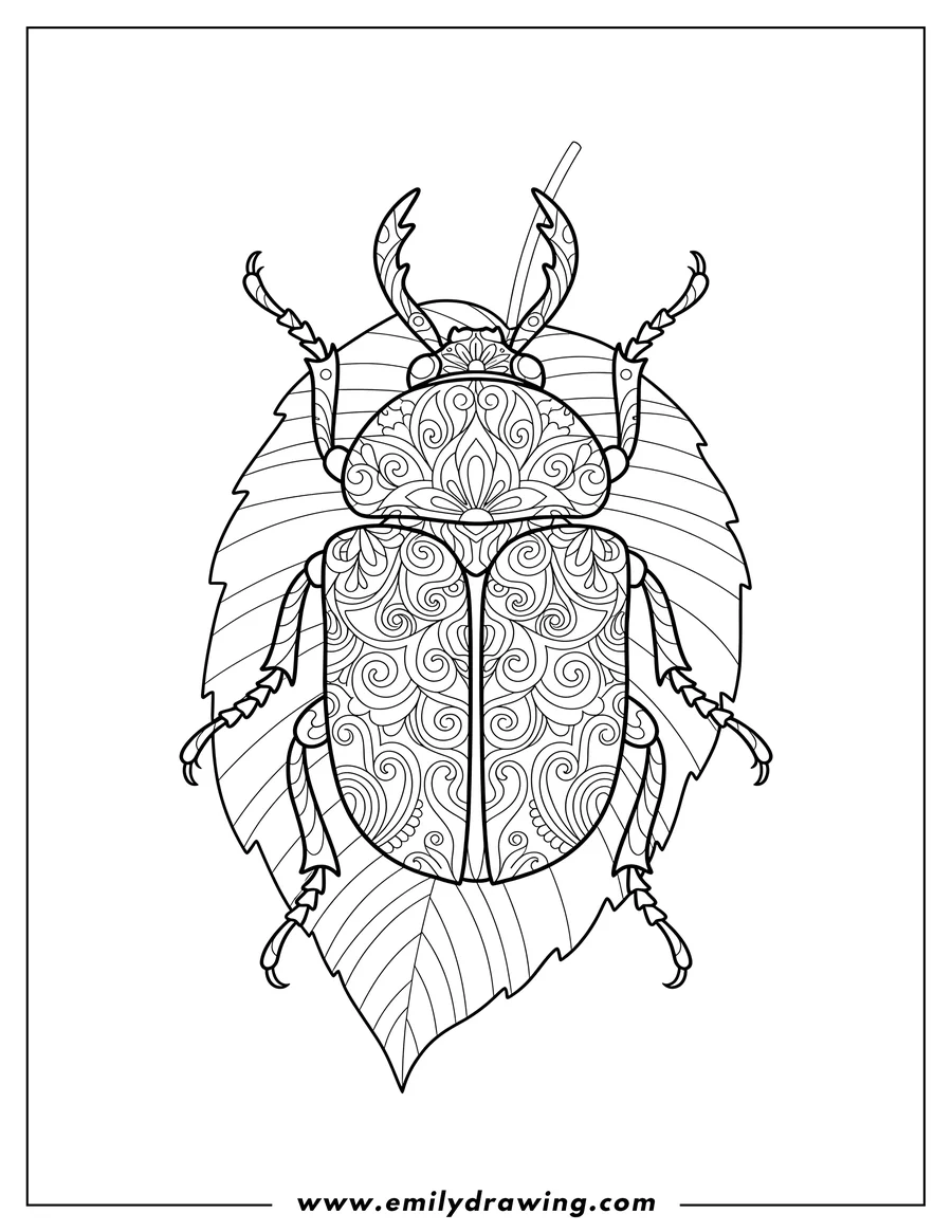 PDF style coloring page: top View Beetle with intricate patterns on a leaf