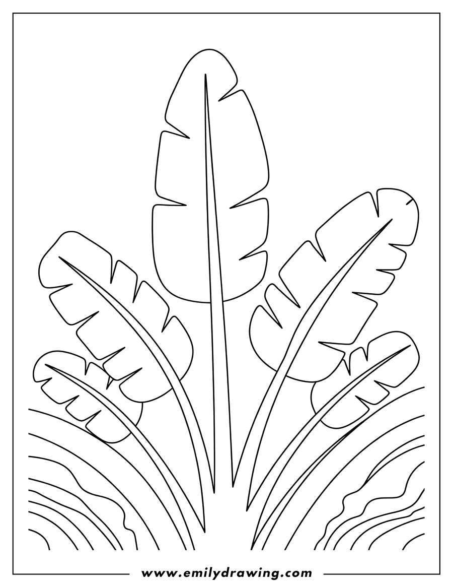 Black and white line art of tropical Plant