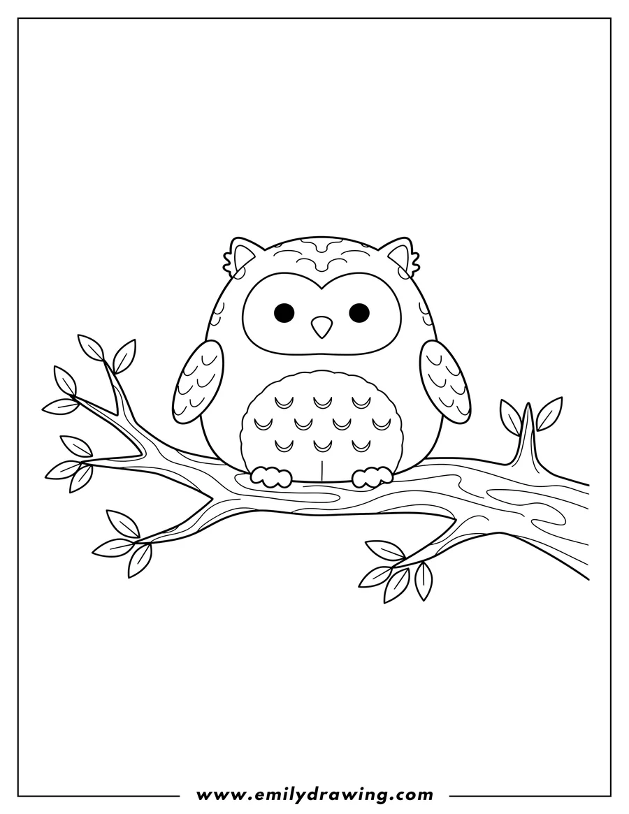 Clean line drawing: winston Owl Squishmallow sitting on a branch