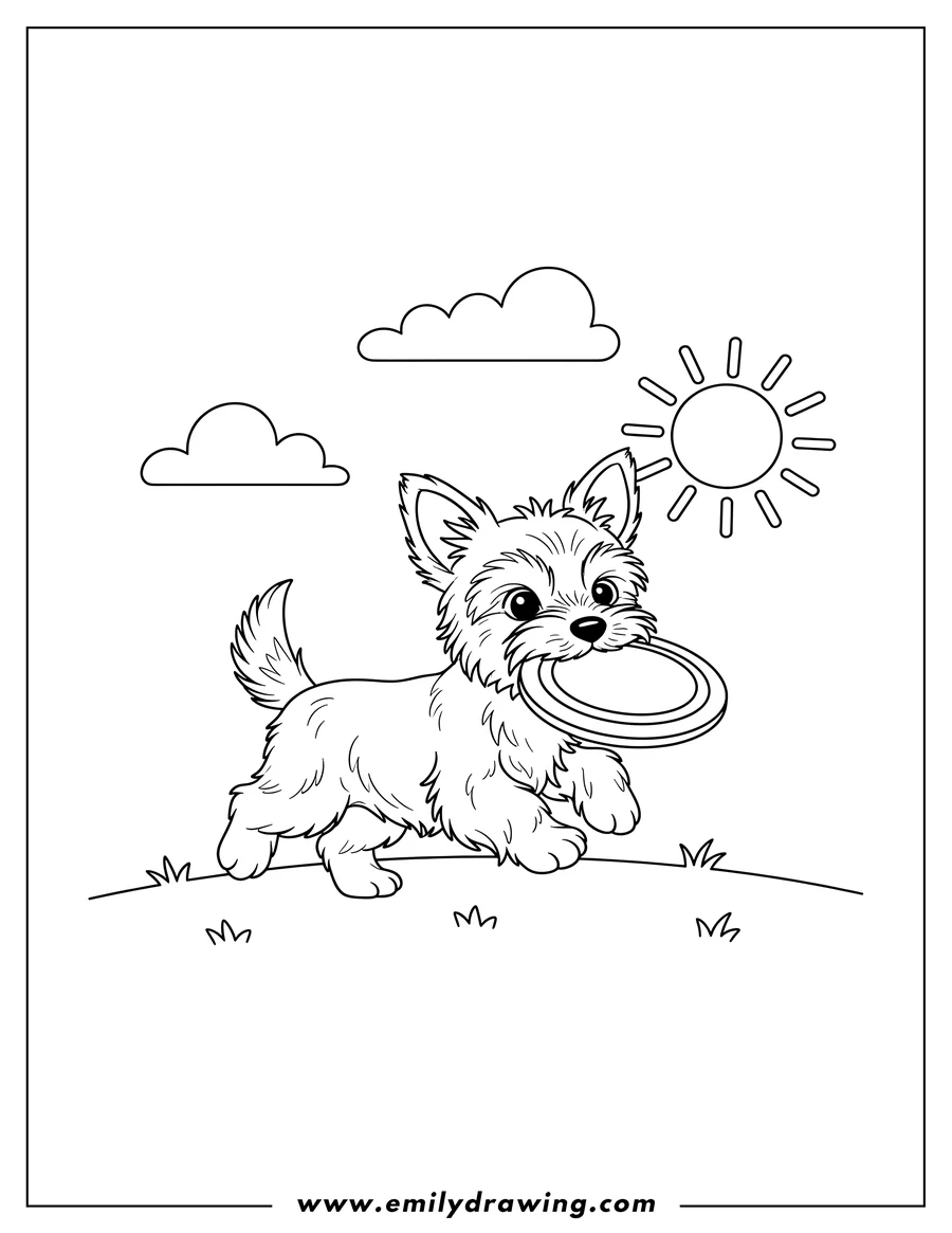Outline drawing of yorkie puppy running with a frisbee in its mouth on a sunny day