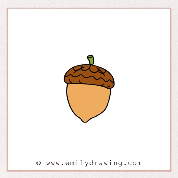 Preview of Acorn drawing