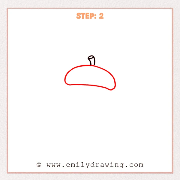 how to draw an acorn - Step 2: A rounded acorn cap drawn beneath the stem.