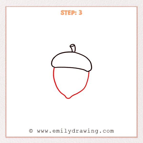 how to draw an acorn - Step 3: A teardrop-shaped acorn body added under the cap.