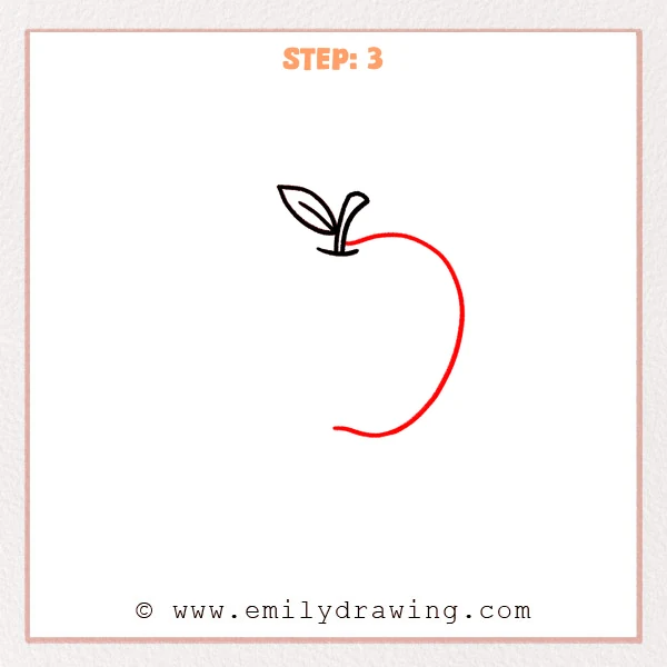 how to draw an apple - Step 3: The right outer curve is drawn to shape the apple body.