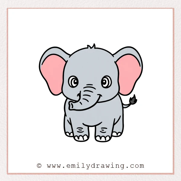How to Draw a Baby Elephant - Emily Drawing