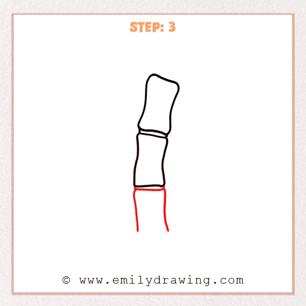 how to draw a bamboo - Step 3: A third bamboo segment added to complete a three-segment bamboo stalk.