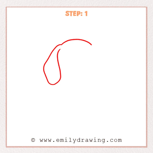 how to draw a beagle - Step 1: A beagle head begins with a top arc and one floppy left ear.