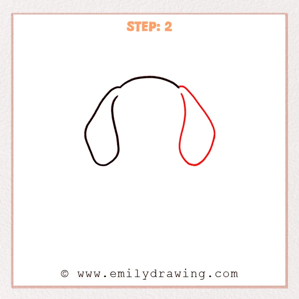 how to draw a beagle - Step 2: The beagle now has two floppy ears and a soft face outline.