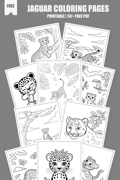 Coloring Pages PDF Pack Cover