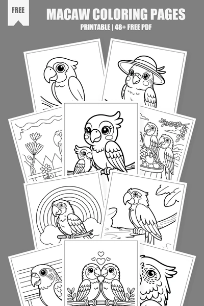 Coloring Pages PDF Pack Cover