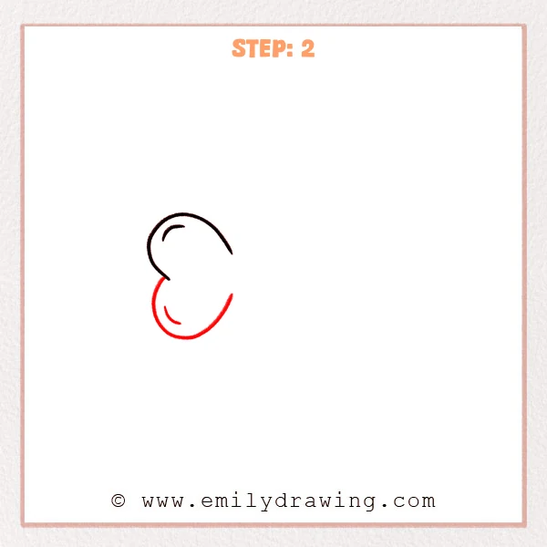 how to draw a bone - Step 2: The left rounded end of the bone is completed with small highlight curves.