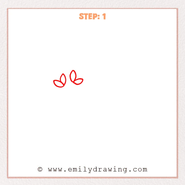 how to draw a branches - Two small bud clusters made of oval leaves, starting a branches sketch.