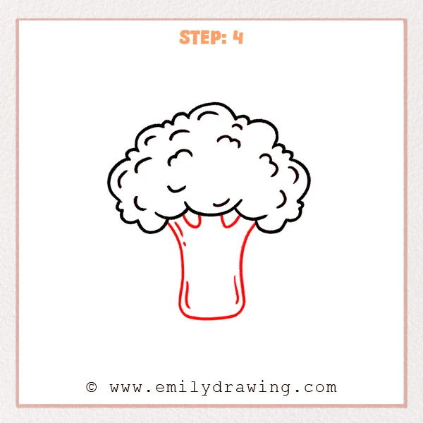 how to draw a broccoli - A broccoli drawing now includes a wide rounded stem beneath the textured crown, with a few short lines showing stem texture.