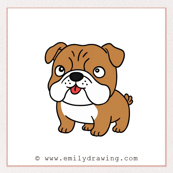 Preview of Bulldog drawing