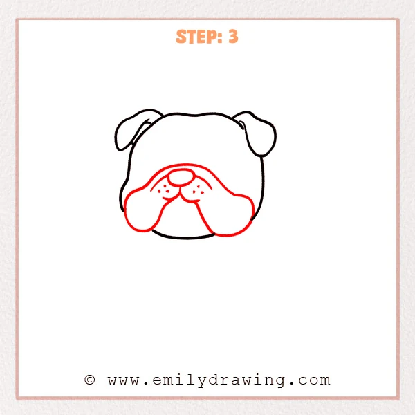 how to draw a bulldog - Step 3