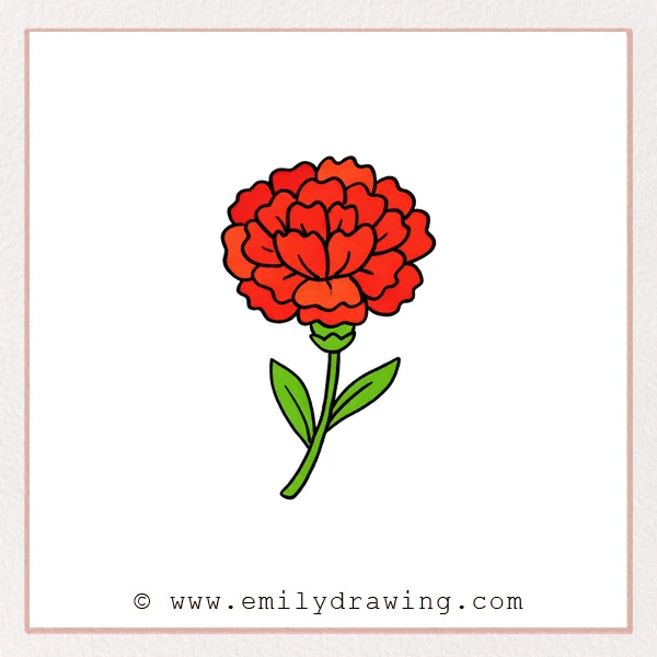Preview of Carnation drawing
