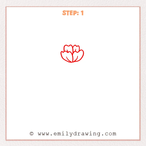 how to draw a carnation - Step 1