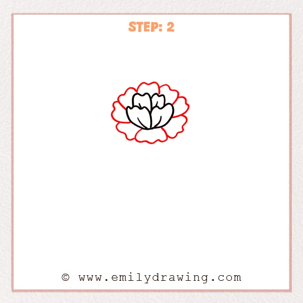 how to draw a carnation - Step 2