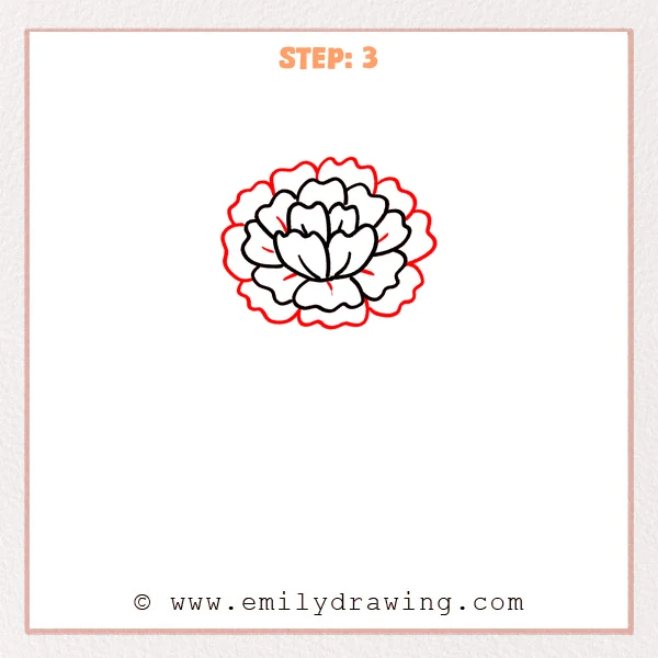 how to draw a carnation - Step 3