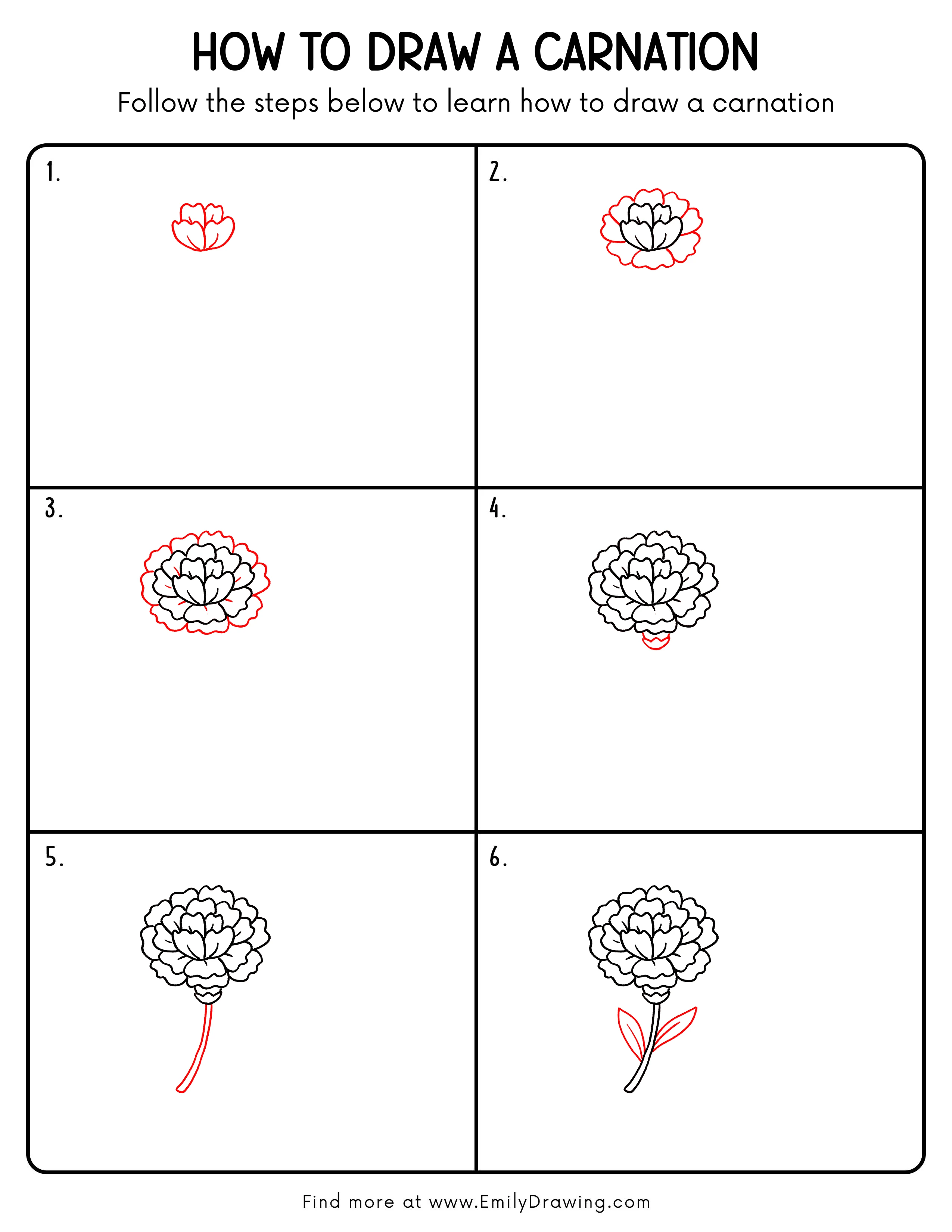 Printable Carnation Drawing Guide